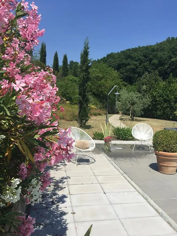 Country house Il Borghetto Andrea Tafi Guest House Lamporecchio