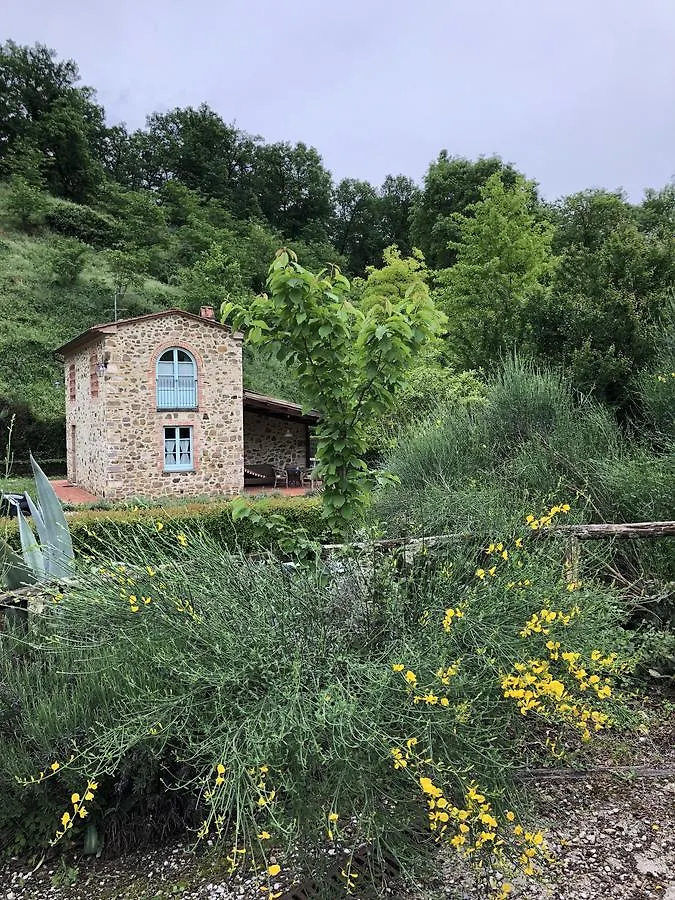 Country house Il Borghetto Andrea Tafi Guest House Lamporecchio