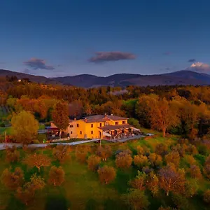 Tenuta Risalpiano Pelago